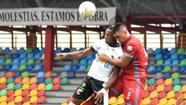 LLANEROS - TIGRES 2023